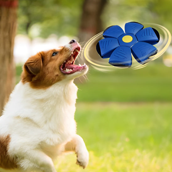 Chien saute et attrape jouet interactif pour chien LumiSphere™