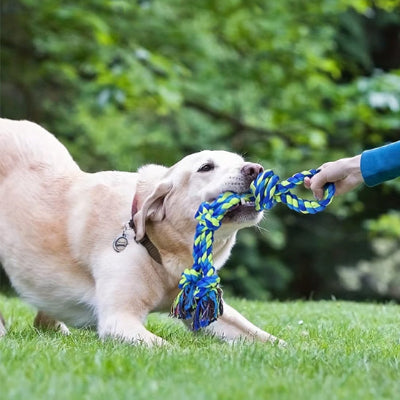 Chien tire sur jouet pour chien indestructible