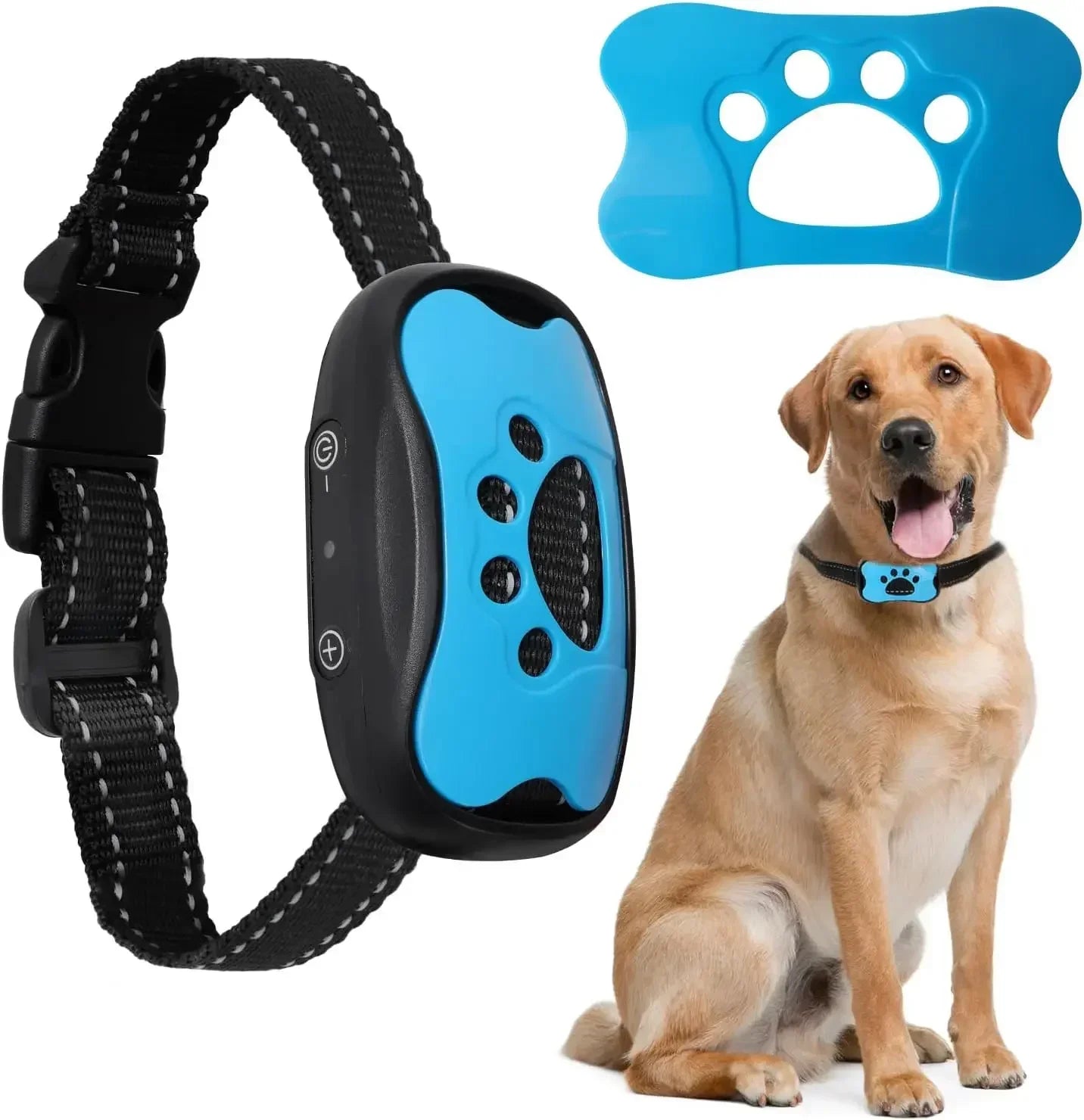 Collier anti aboiements pour chien sans choc bleu