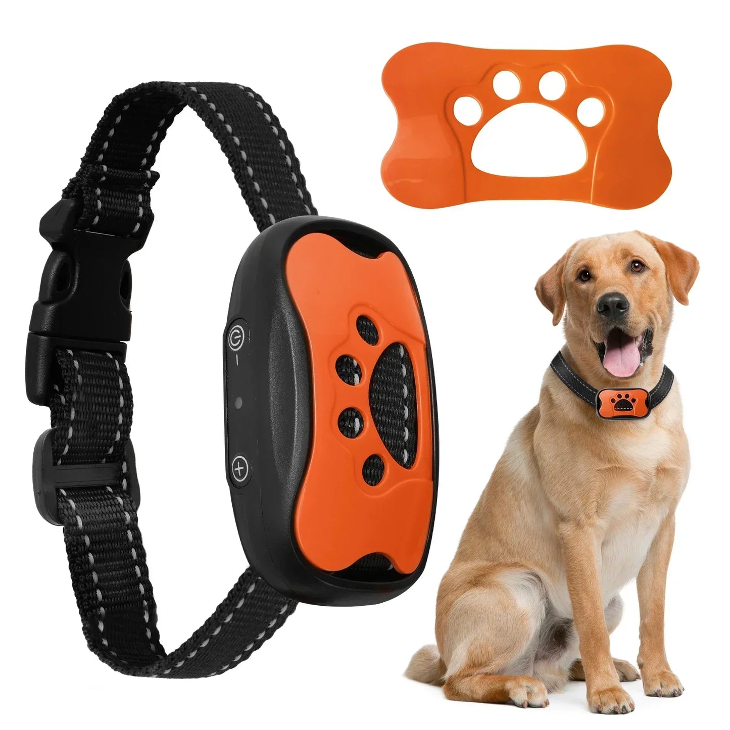 Collier anti aboiements pour chien sans choc orange