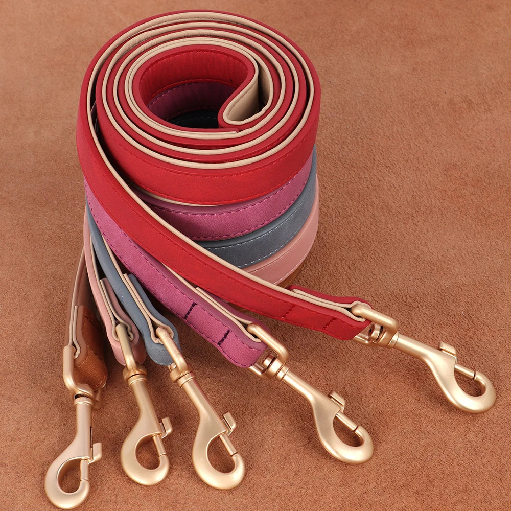 collier chien couleurs muliples avec laisses