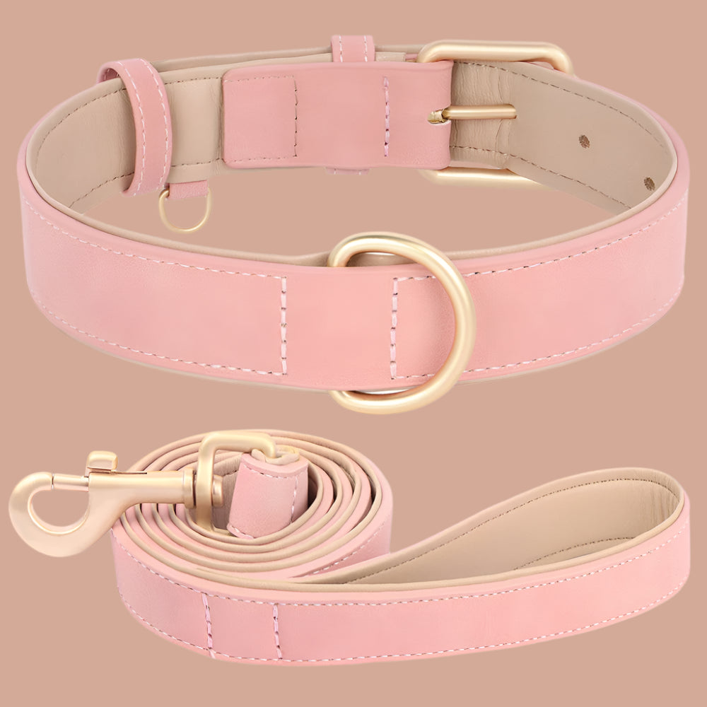 collier chien rose pale
