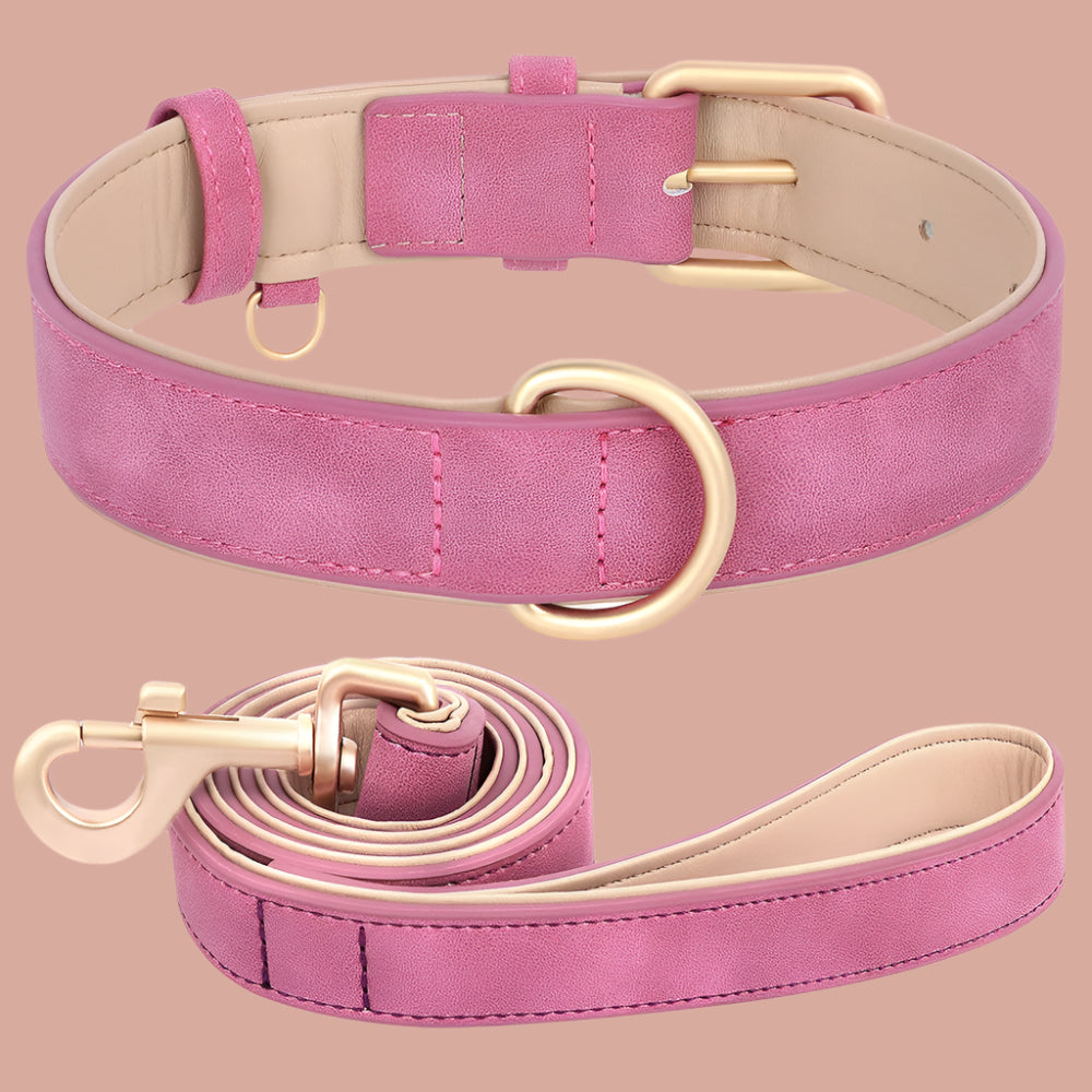 collier chien rose