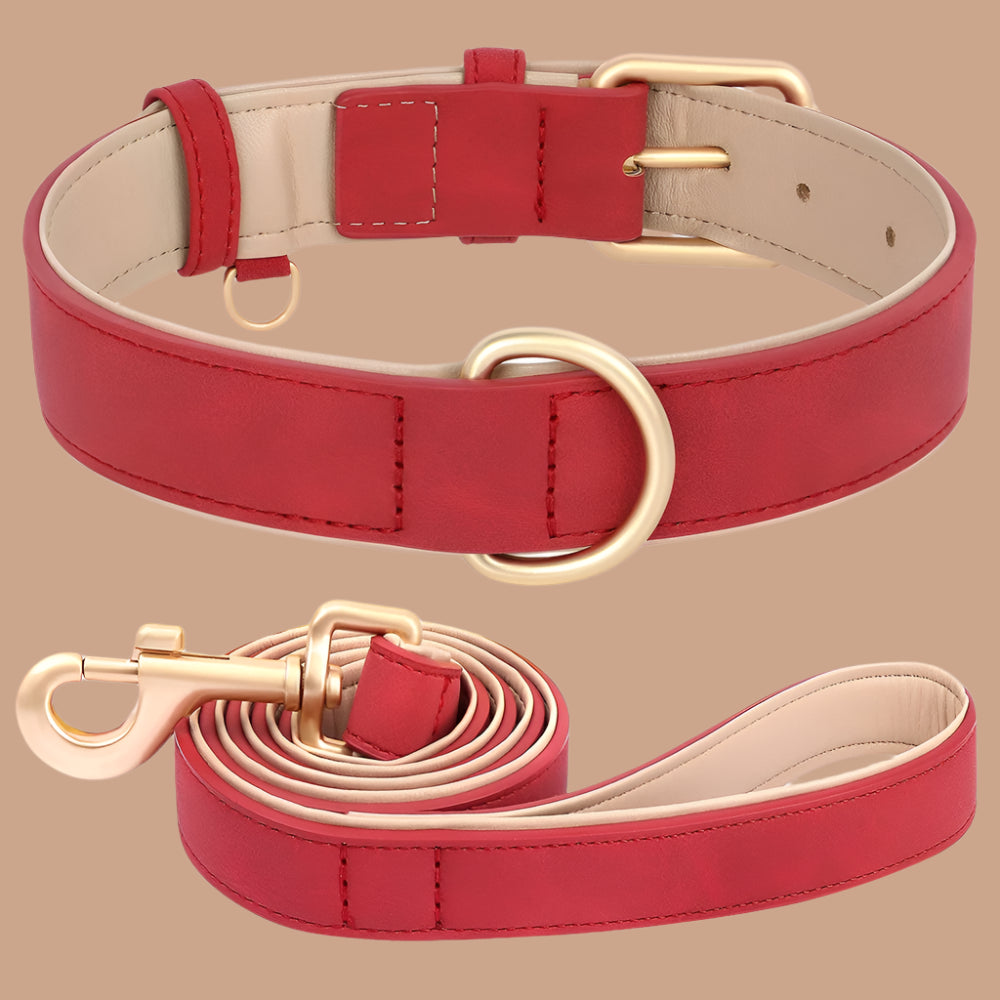 collier chien rouge
