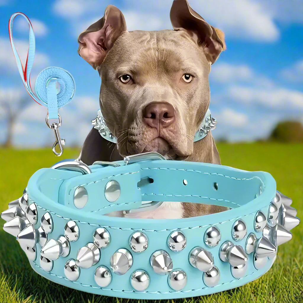 Collier cuir chien bleu