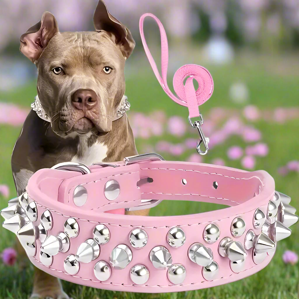 Collier cuir chien rose