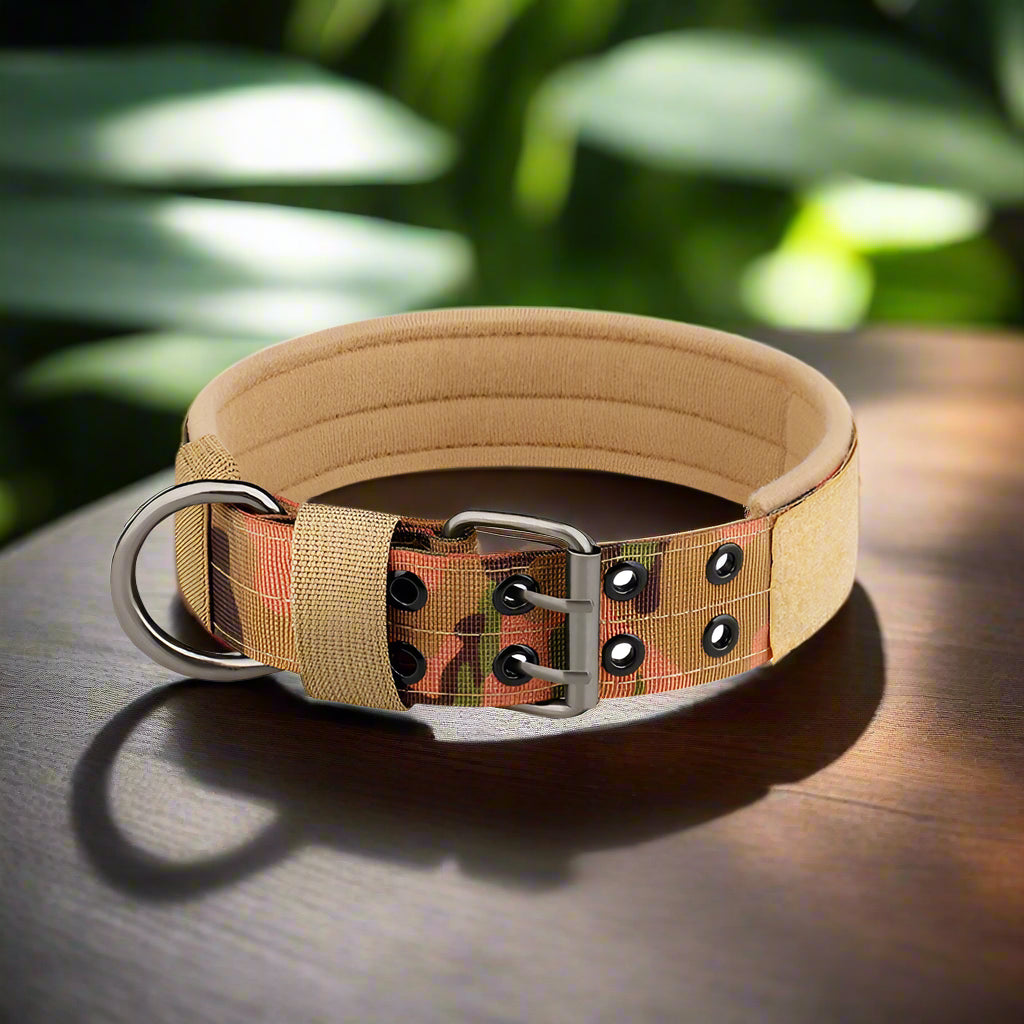 Collier pour chien camouflage
