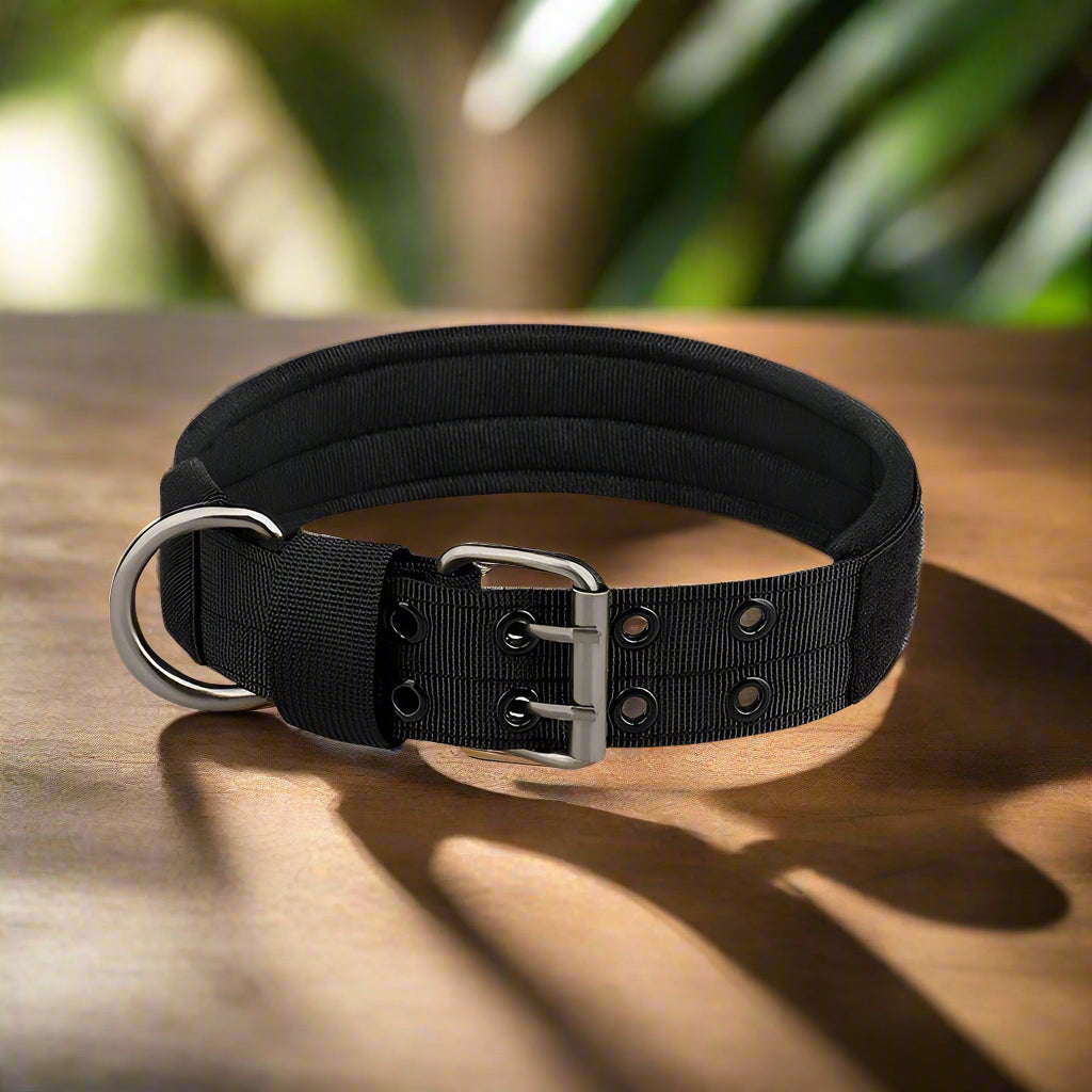 Collier pour chien noir