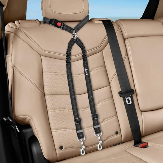 double laisse chien ceinture de securite