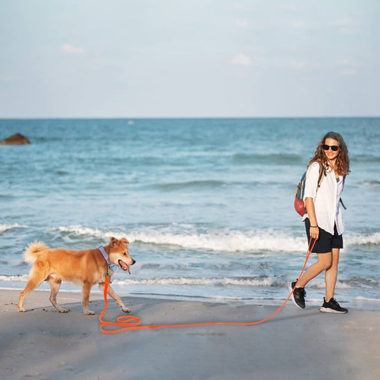 Femme sur plage avec chien tenu par longe chien de 6 mètres