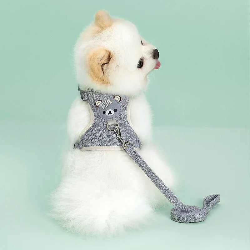 harnais petit chien bleu avec laisse