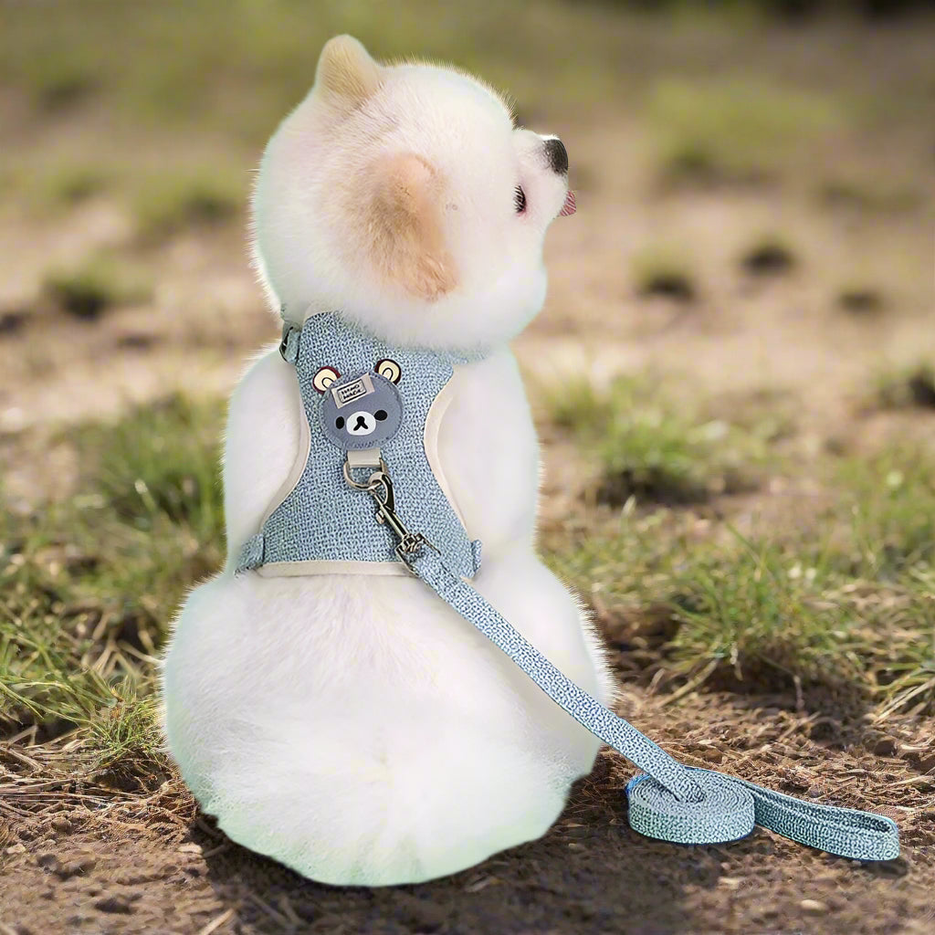 harnais petit chien bleu