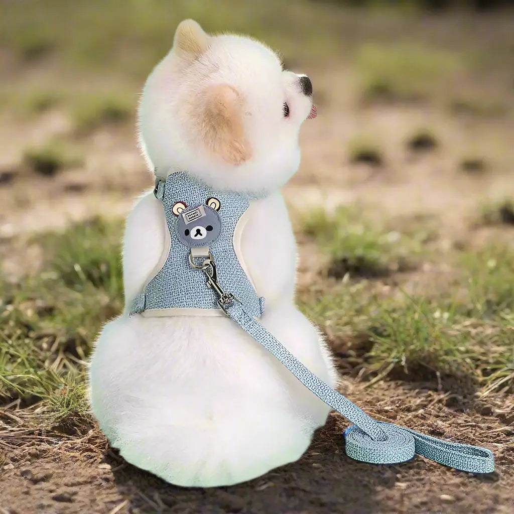 harnais petit chien bleu