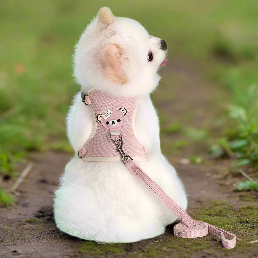 harnais petit chien rose avec laisse