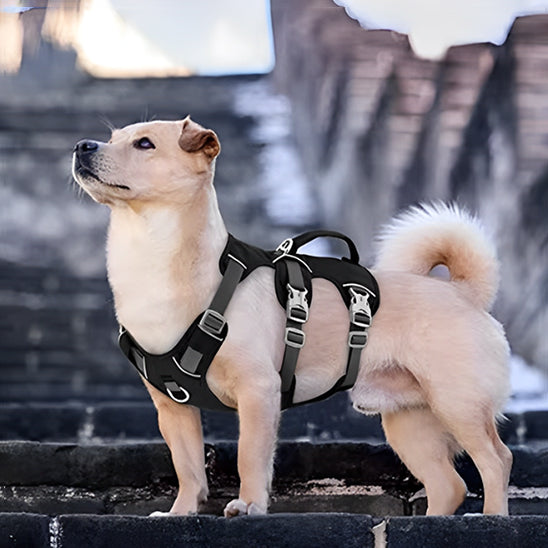 harnais pour chien caniflex noir
