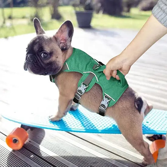 harnais pour chien caniflex vert