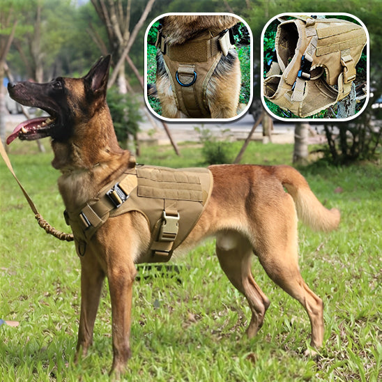 Harnais Anti Traction Chien - Tractionsafe™