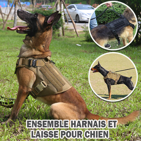 Harnais Anti Traction Chien - Tractionsafe™