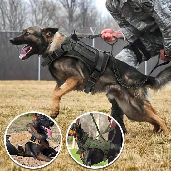 Harnais Anti Traction Chien - Tractionsafe™