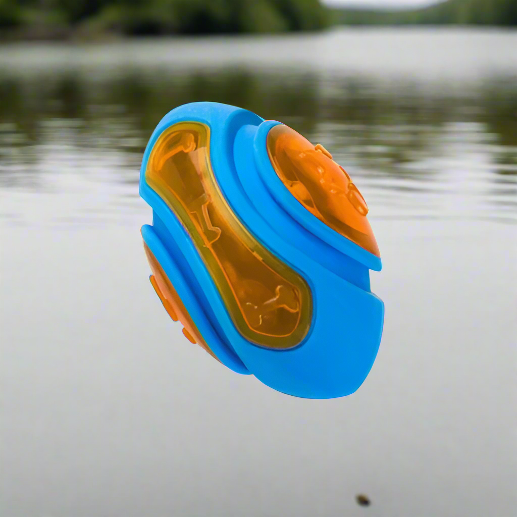 Jouet chien eau flottant ballon de football