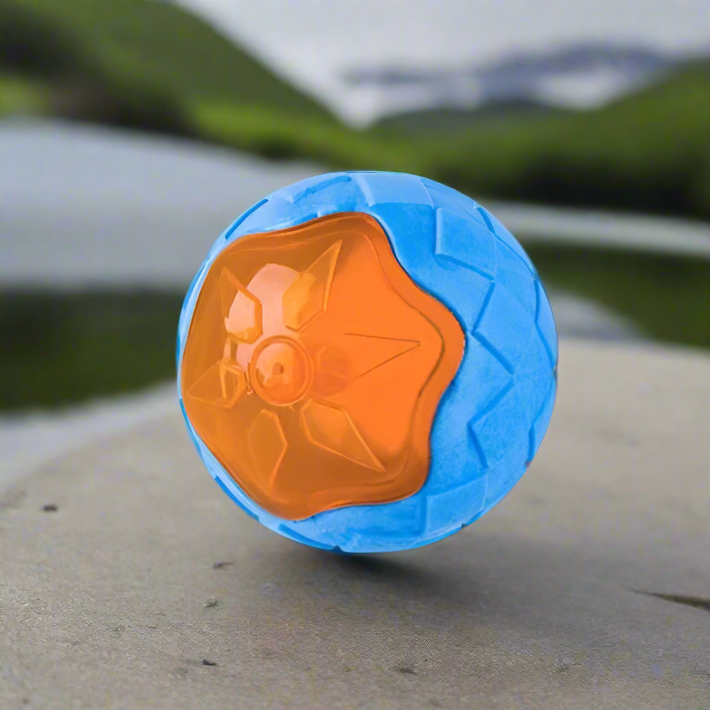 jouet-chien-eau-flottant-ballon