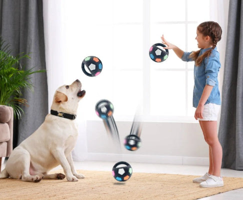 Jouet d'occupation chien balle rebondissante