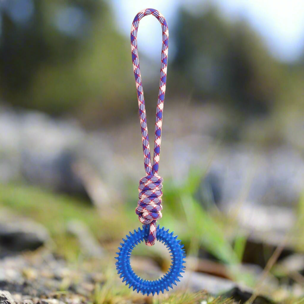 Jouet occupation chien | Dentifun™ bleu