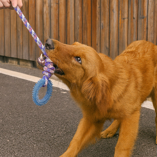 Jouet occupation chien | Dentifun™ stimulant