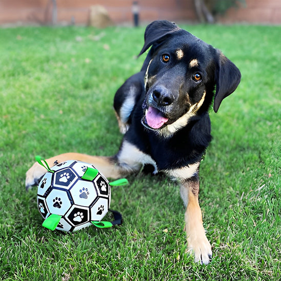 Jouet pour chien football aquatique