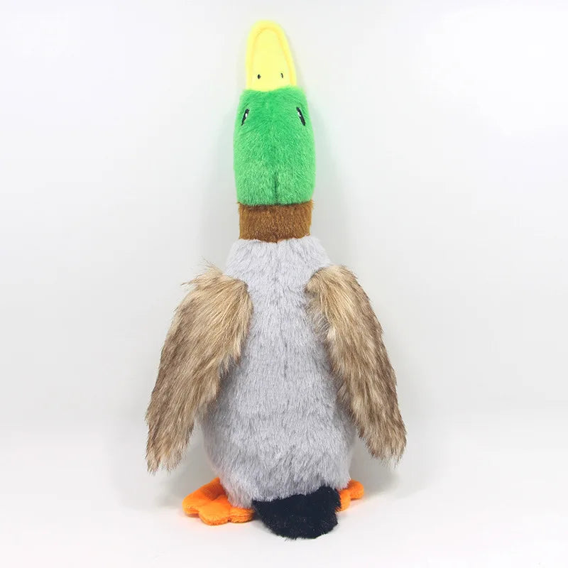 Jouet pour chiens peluche canard