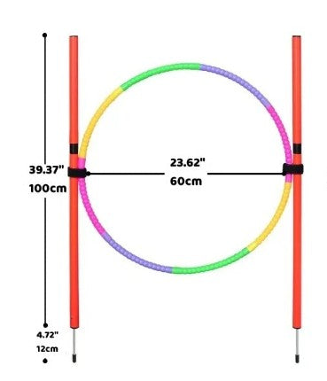 Jouets chiens | d'agilité cerceau
