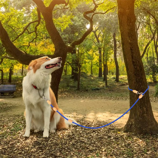 laisse double pour chien adaptable