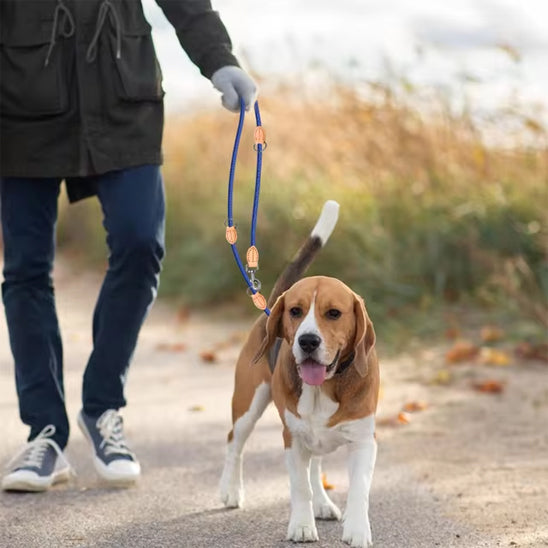 laisse double pour chien ajustable
