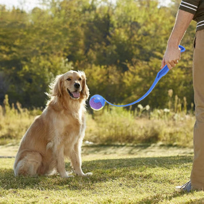 Lanceur de balles pour chien interactif