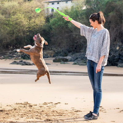 Lanceur de balles pour chien longue portée