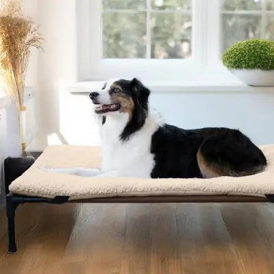 lit surélevé pour chien coussin lavable