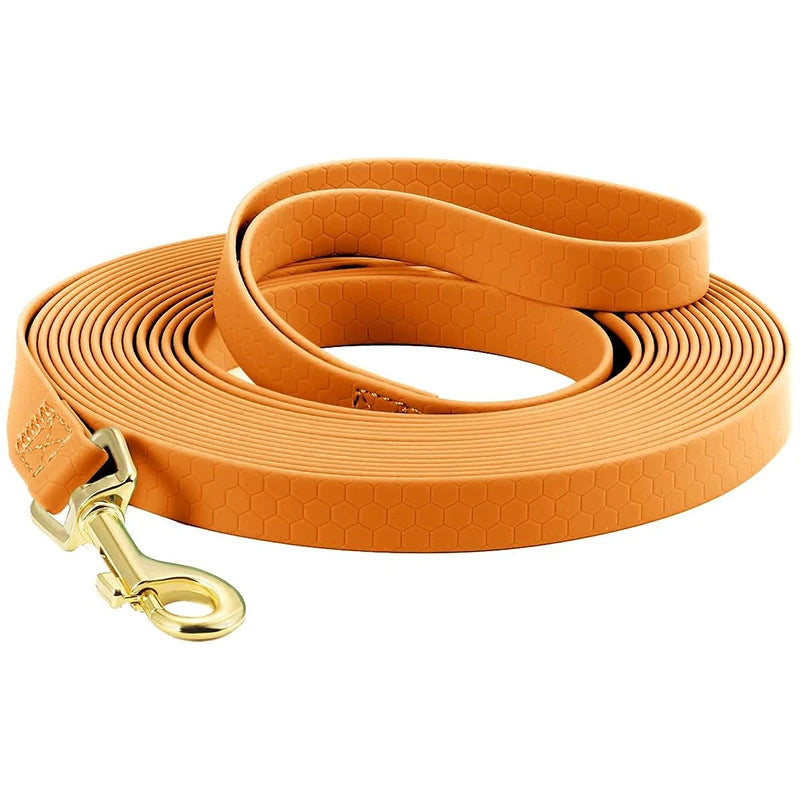 Longe chien 15 mètres orange