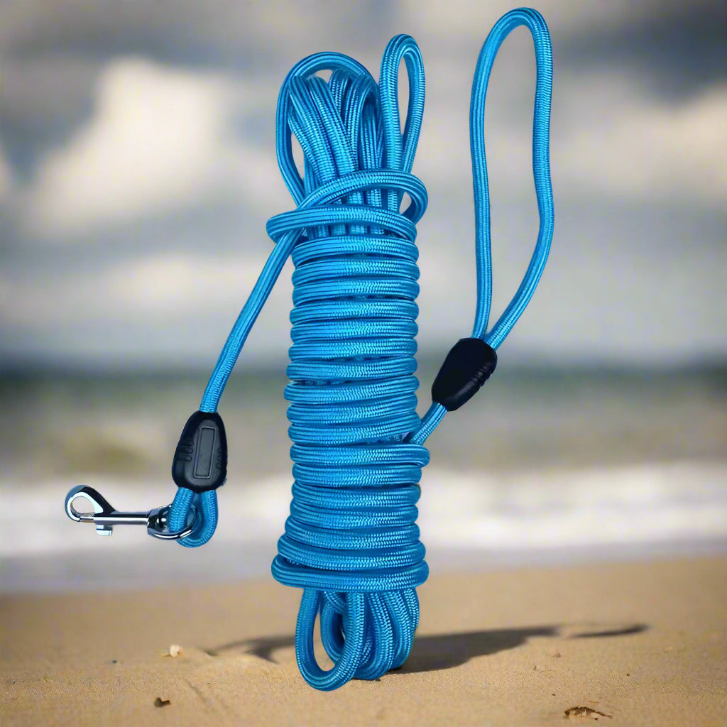 Longe pour chien 10 metres bleu