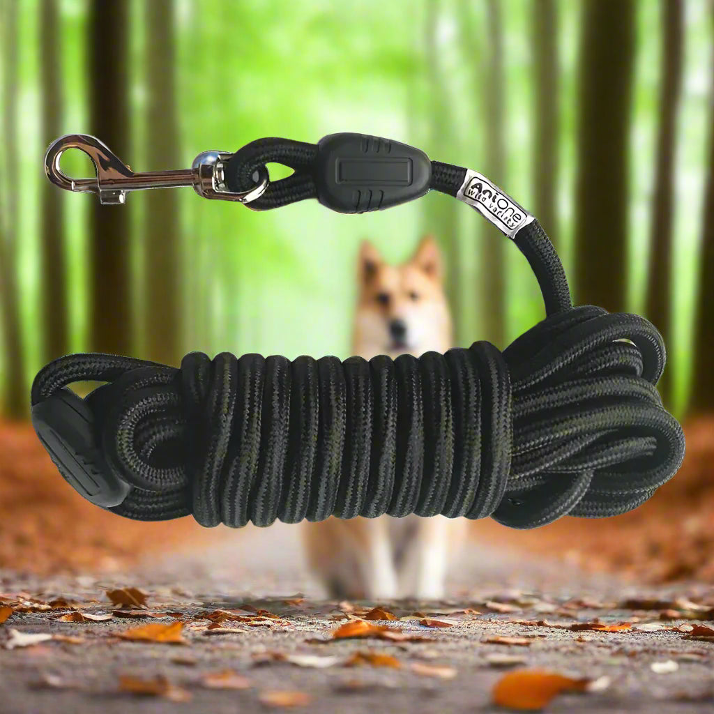 Longe pour chien 15 metres noir