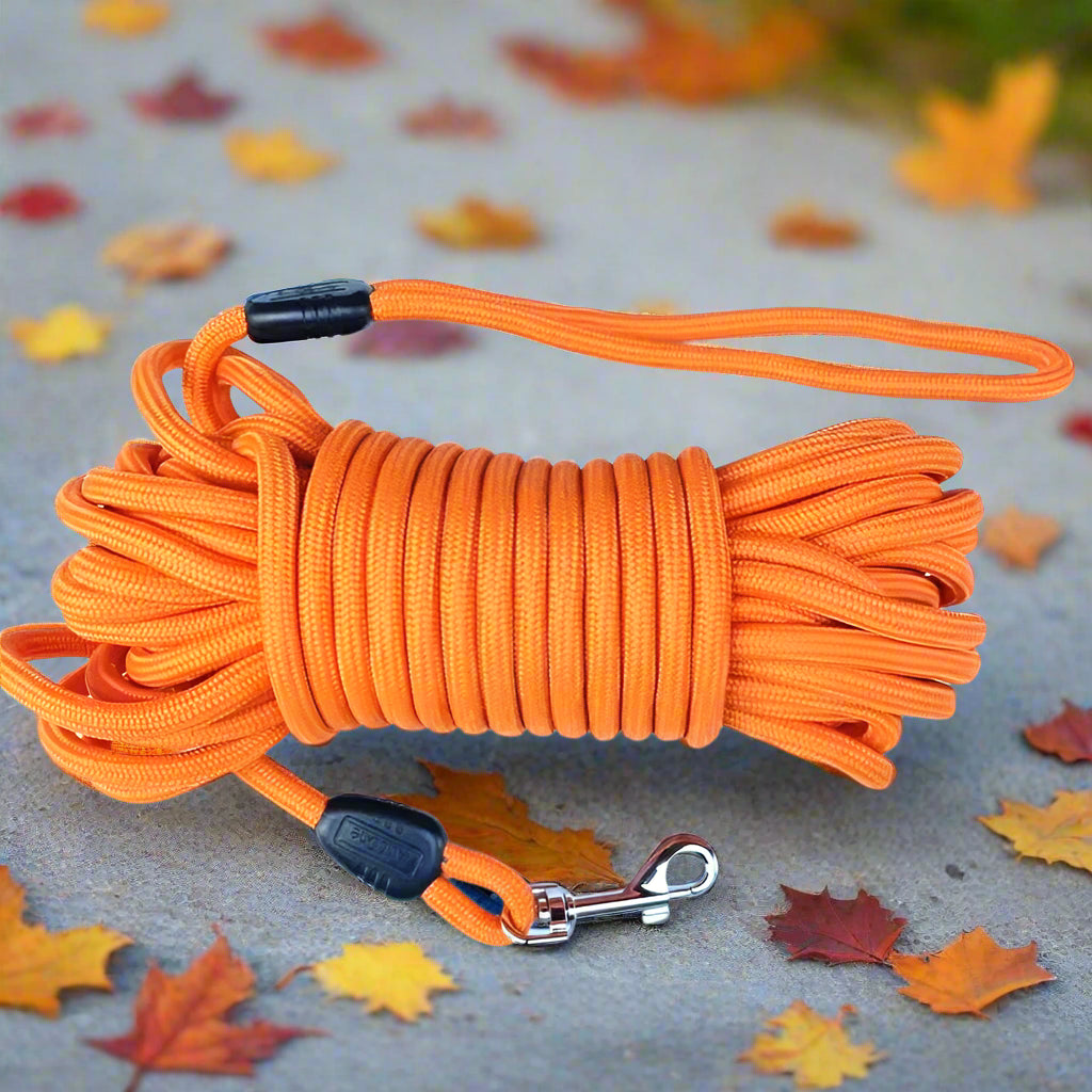 Longe pour chien 15 metres orange