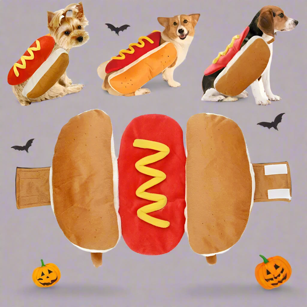Manteau chien halloween Hotdog trois grandeurs différentes