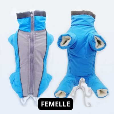Manteau chien | Salopette d'hiver bleu pour femelle