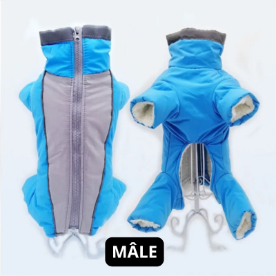 Manteau chien | Salopette d'hiver bleu pour mâle