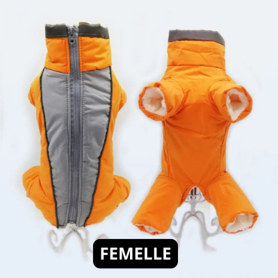 Manteau chien | Salopette d'hiver orange pour femelle
