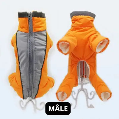 Manteau chien | Salopette d'hiver orange pour mâle