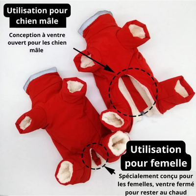 Manteau chien | Salopette d'hiver pour mâle et femelle