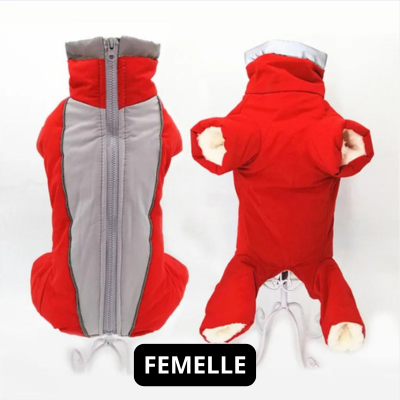 Manteau chien | Salopette d'hiver rouge pour femelle