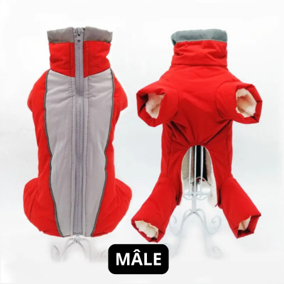 Manteau chien | Salopette d'hiver rouge pour mâle
