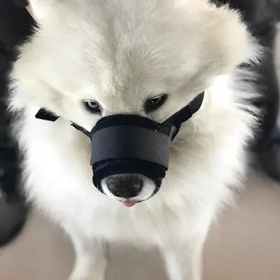 Muselière | SérénitéCanine™ noir