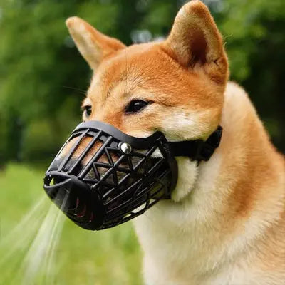 Muselière pour chien ajustable